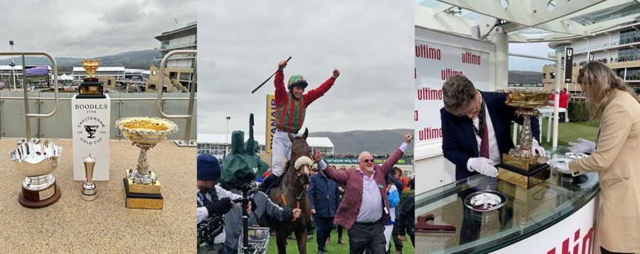 The Official Trophy Supplier to Cheltenham Racecourse