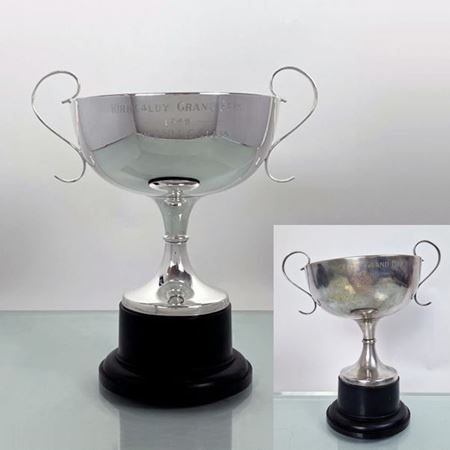 Picture of Trophy Restoration Service